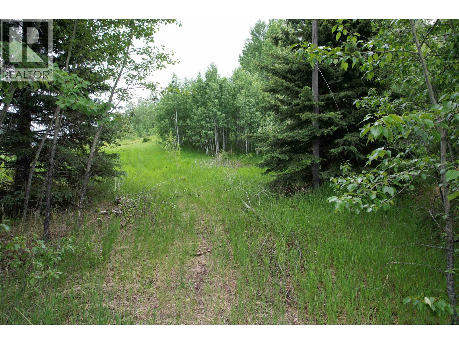 LOT 15 MCCARTHY ROAD, Bridge Lake — photo 3