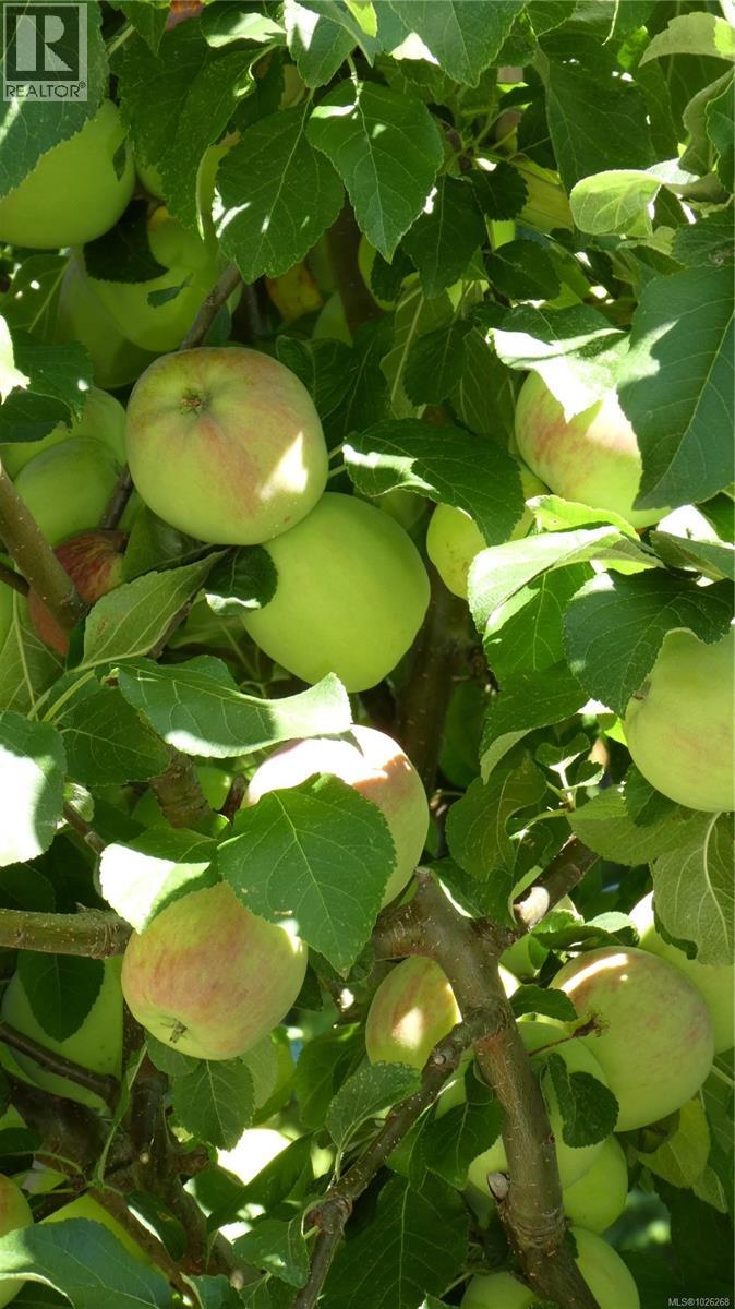 1860 Ashling Rd, Qualicum Beach