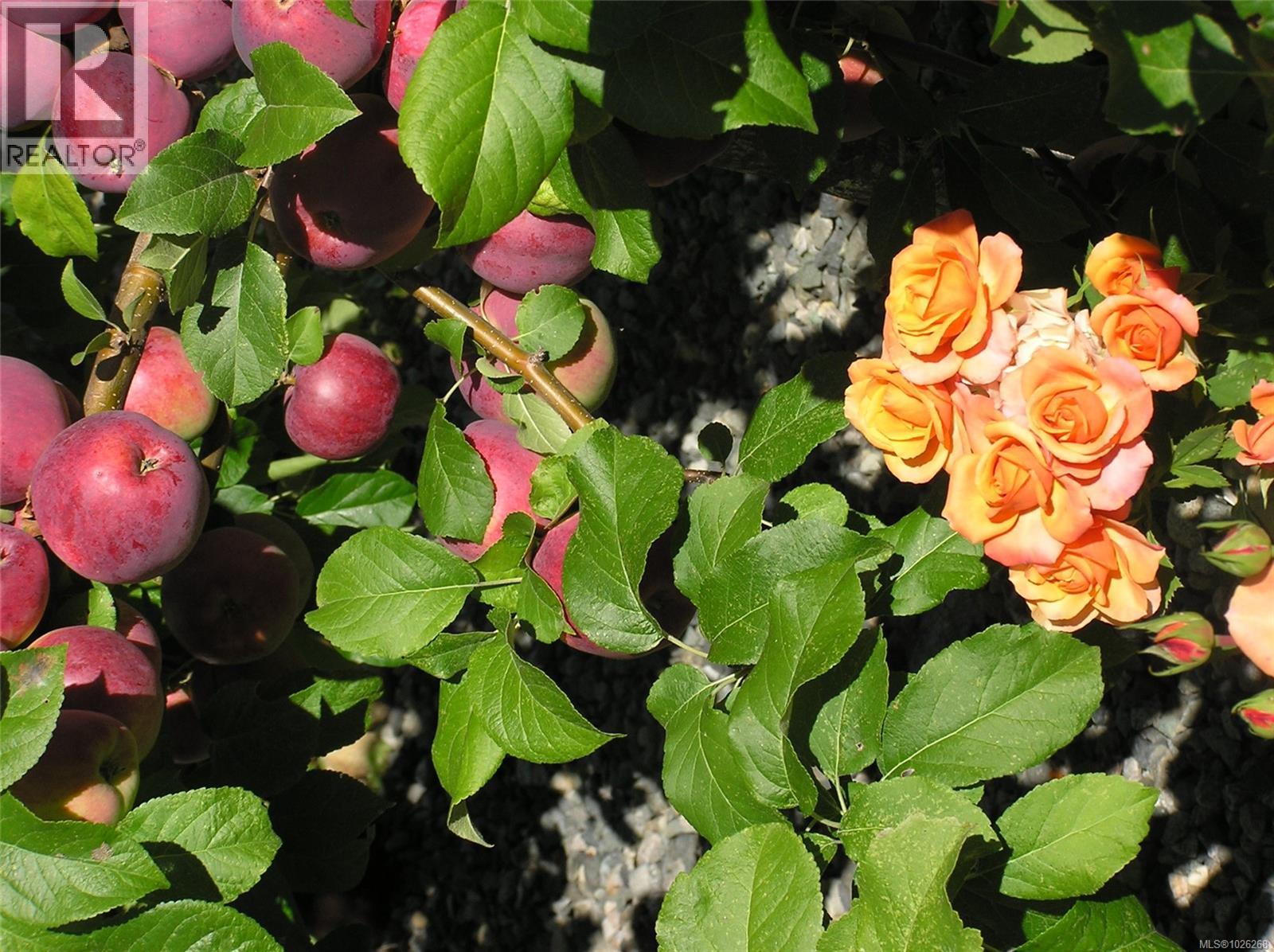 1860 Ashling Rd, Qualicum Beach