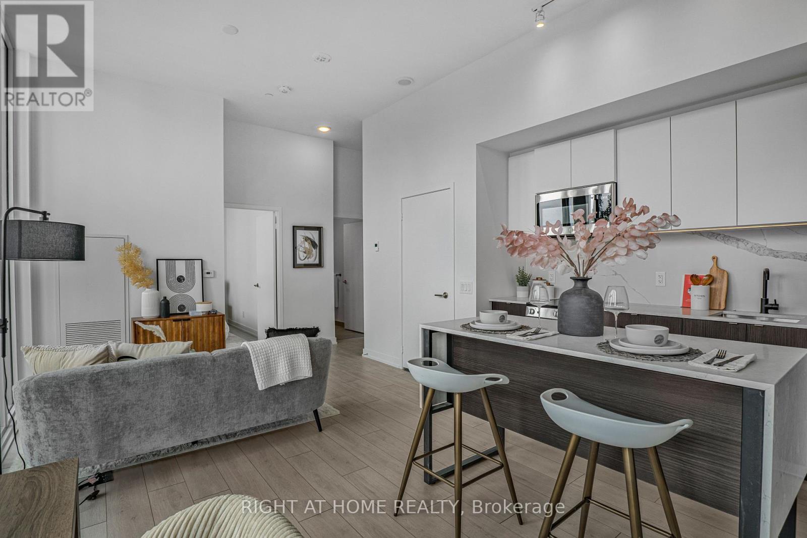 #209 500 DUPONT STREET - 16