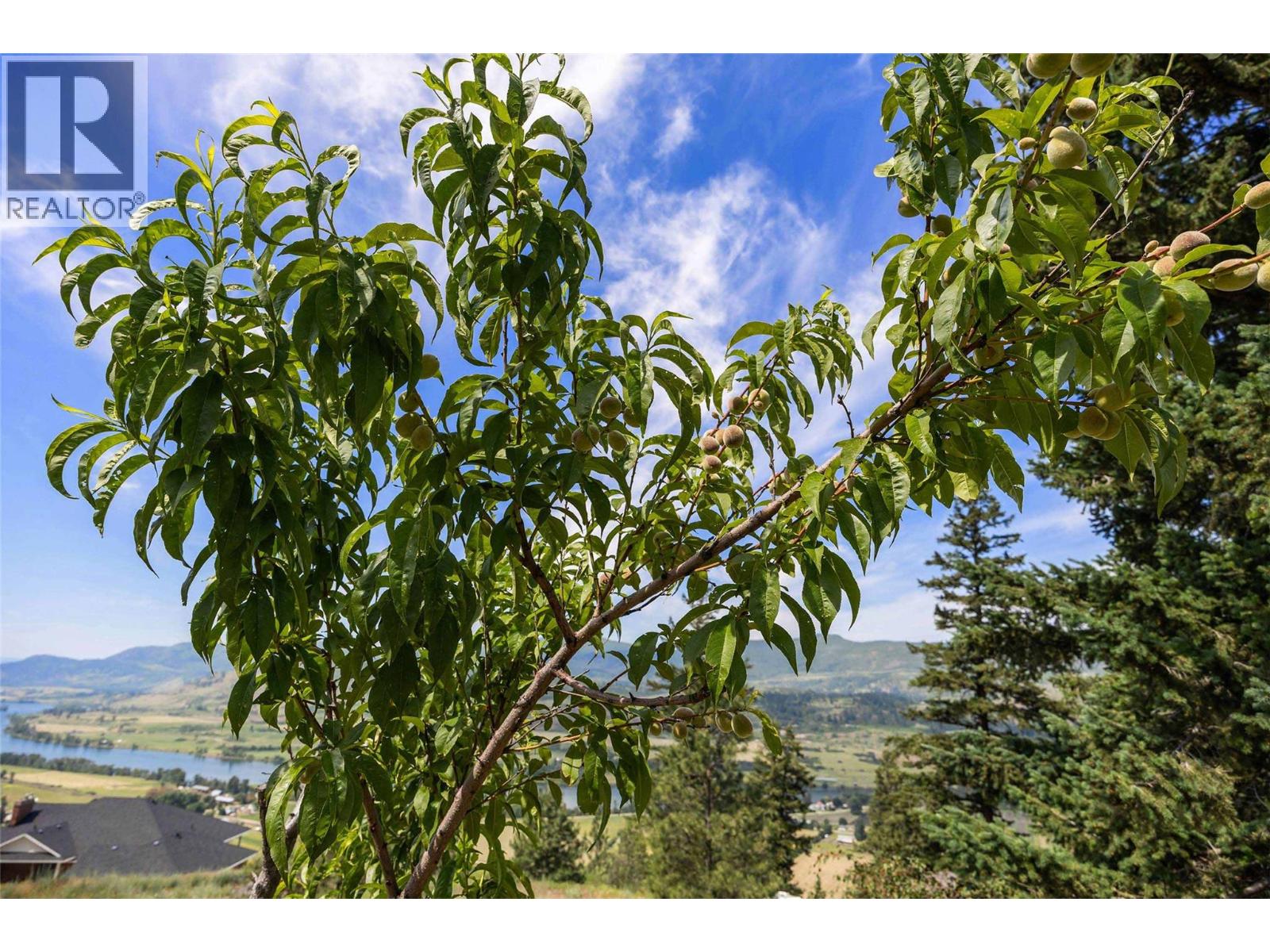 365 Riverwind Drive, Chase