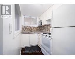 Lower 1 - 224 Pickering Street, Toronto, ON M4E3J8 Photo 7
