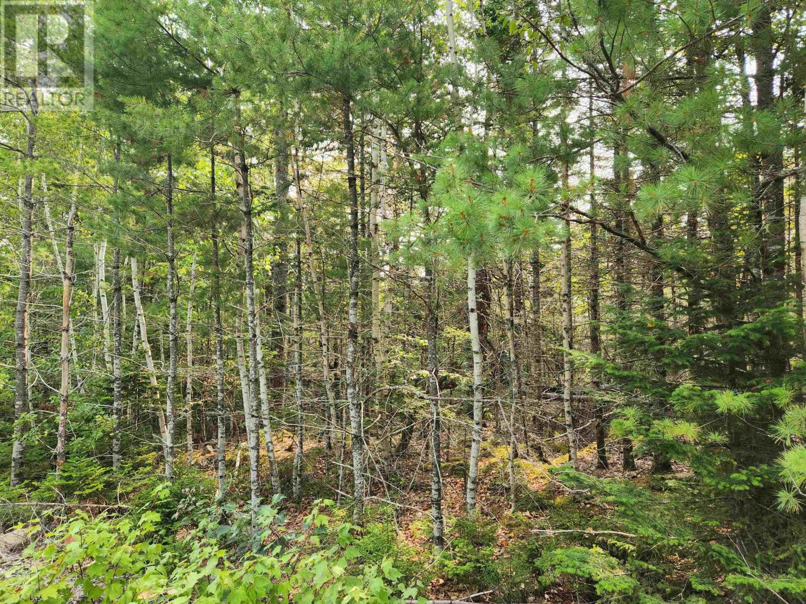 Property 3 of 6 of Lot 70 Turner Point Crossover