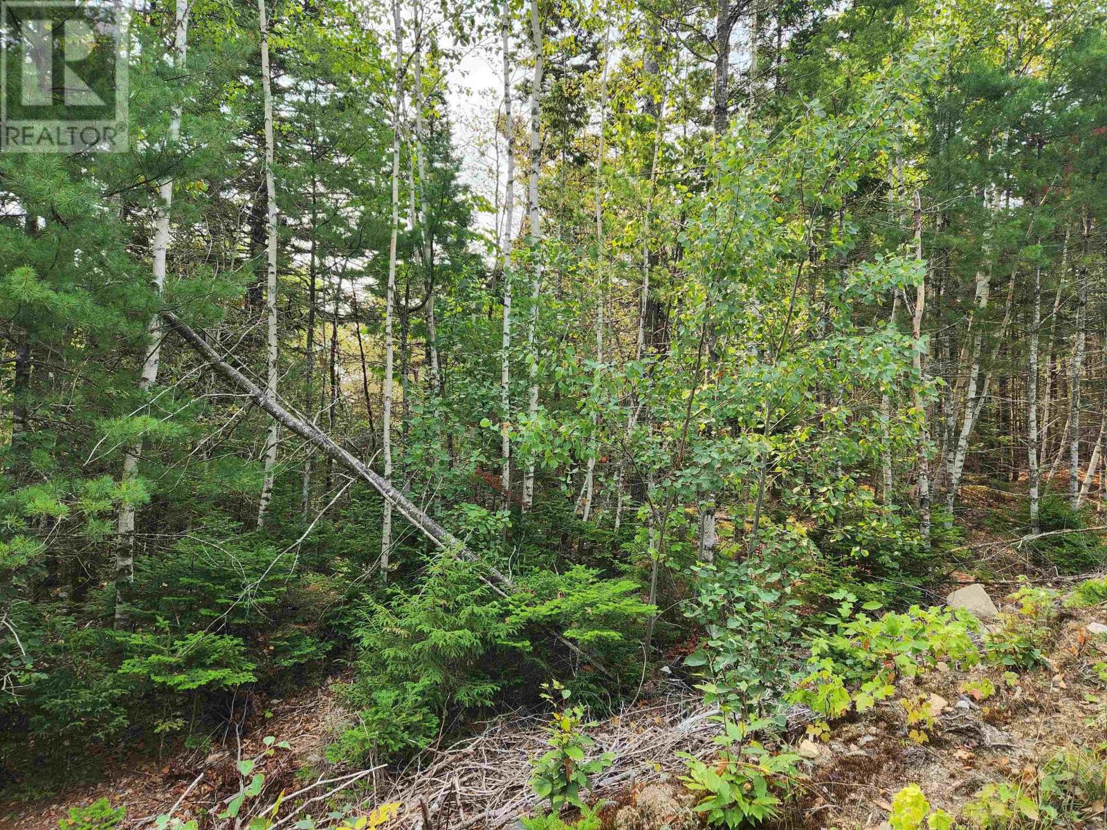 Property 4 of 6 of Lot 70 Turner Point Crossover