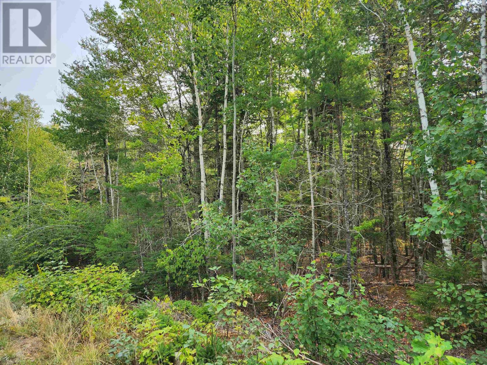 Property 6 of 6 of Lot 70 Turner Point Crossover