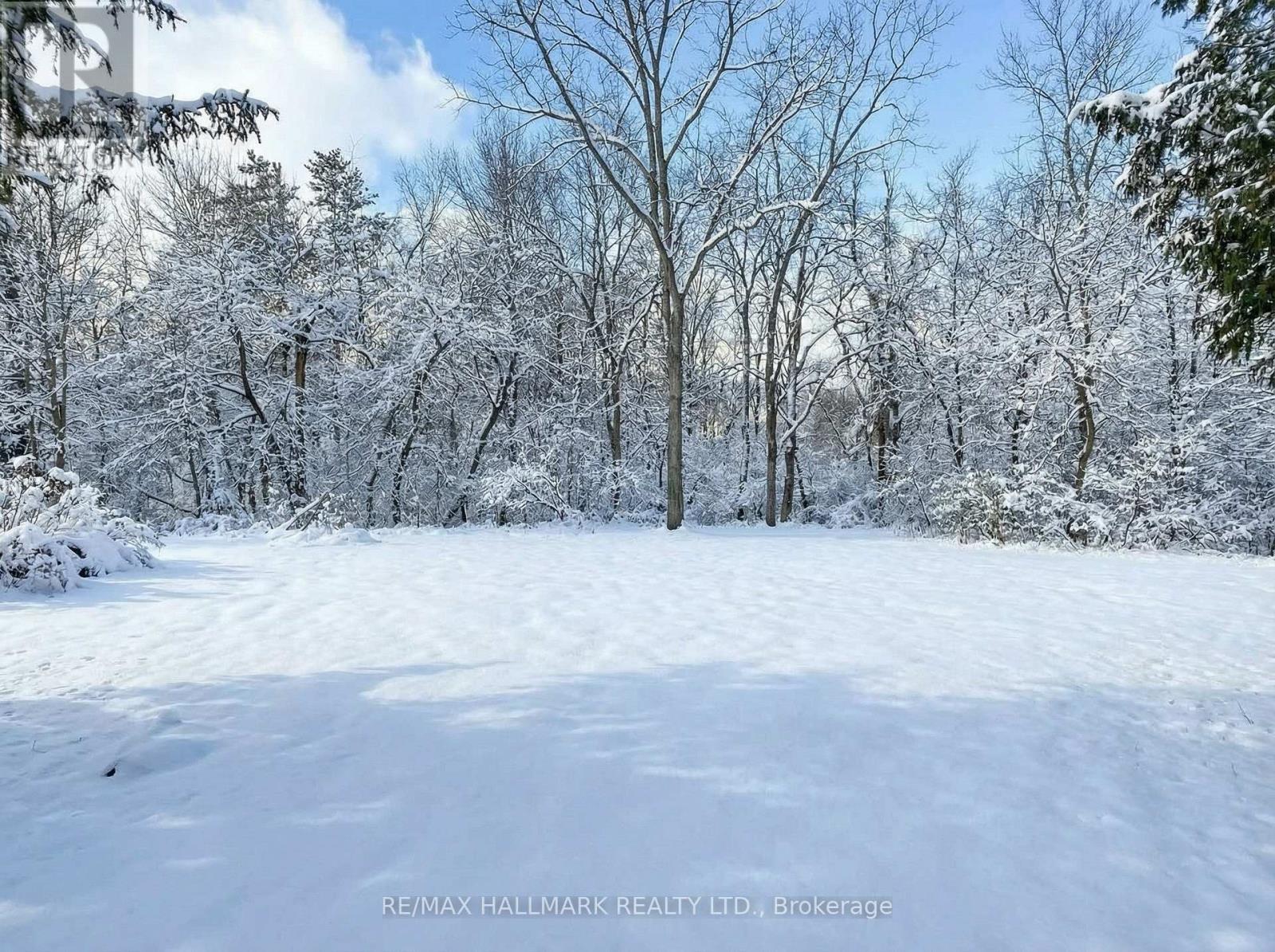108 YONGEHURST ROAD - 4