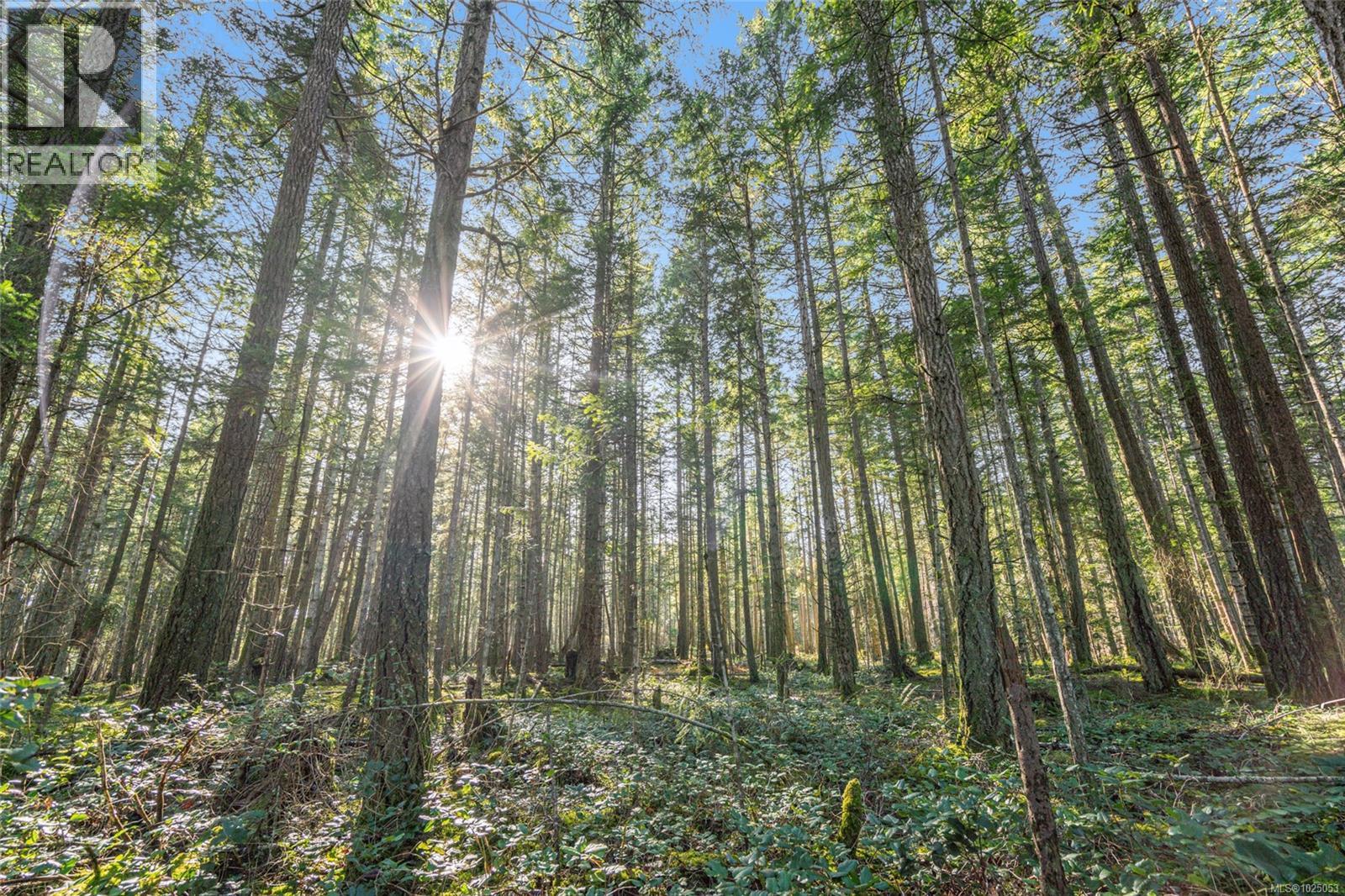 1780 STALKER RD - 42