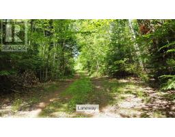 0 Jack's Road, Flat River, PE C1A1B0 Photo 6