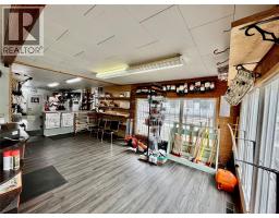 98 1st Avenue Nw, Nakusp, BC V0G1R0 Photo 7