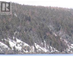 2 Penney's Road thumbnail 6