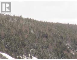 2 Penney's Road thumbnail 7