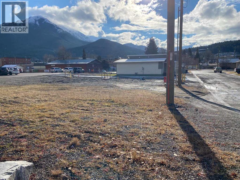 2131 (Unit 1) 128 Street - Main photo, Blairmore, Alberta