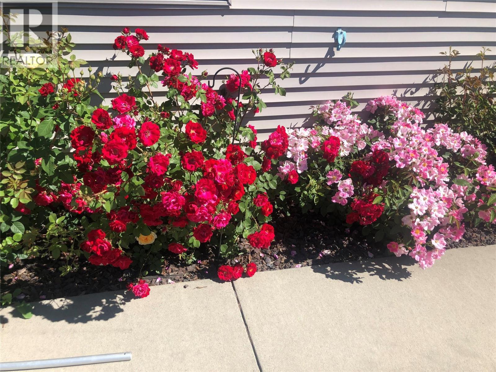 2205 Canary Place, Vernon