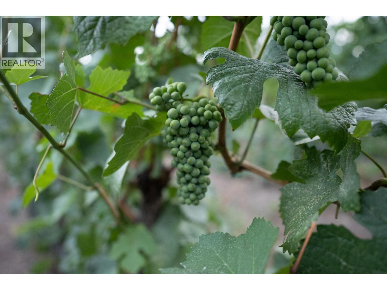 1030 King Drive, Naramata