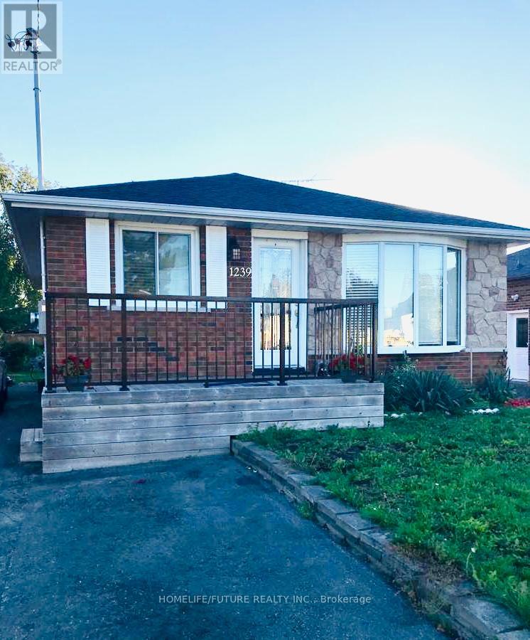 1239 Somerville Street Bsmt