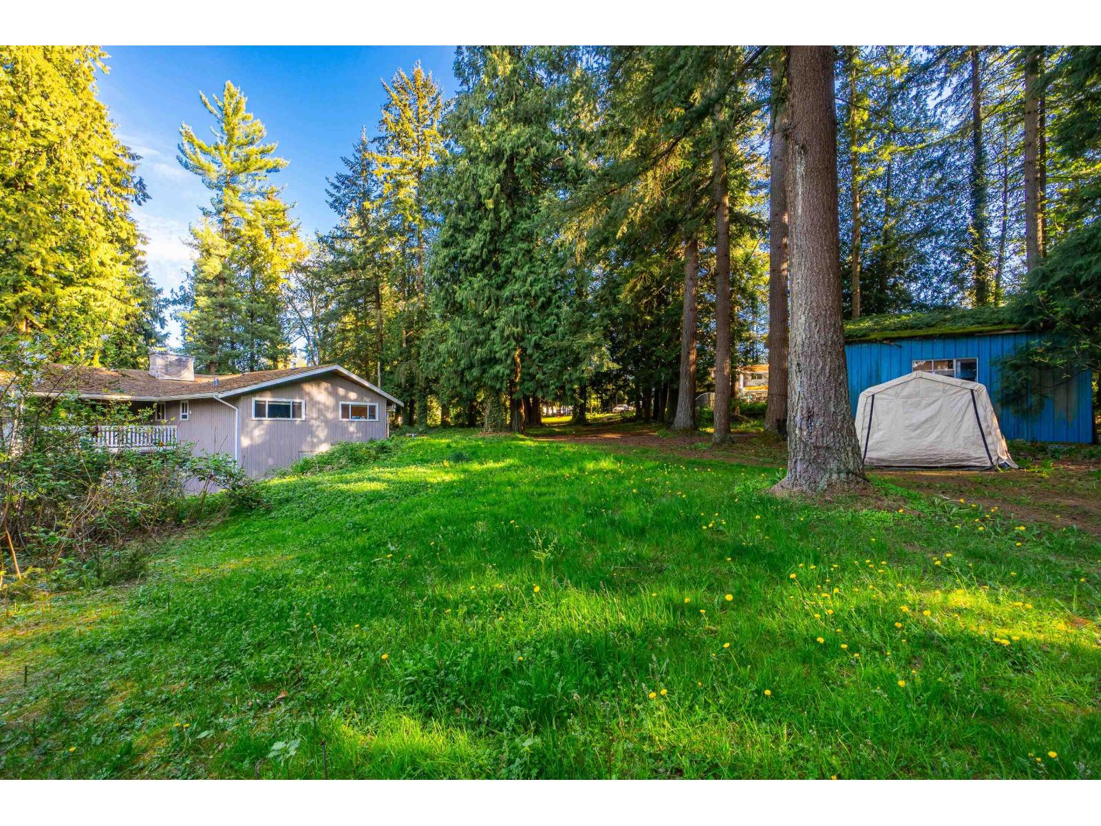 2727 176 STREET, Surrey