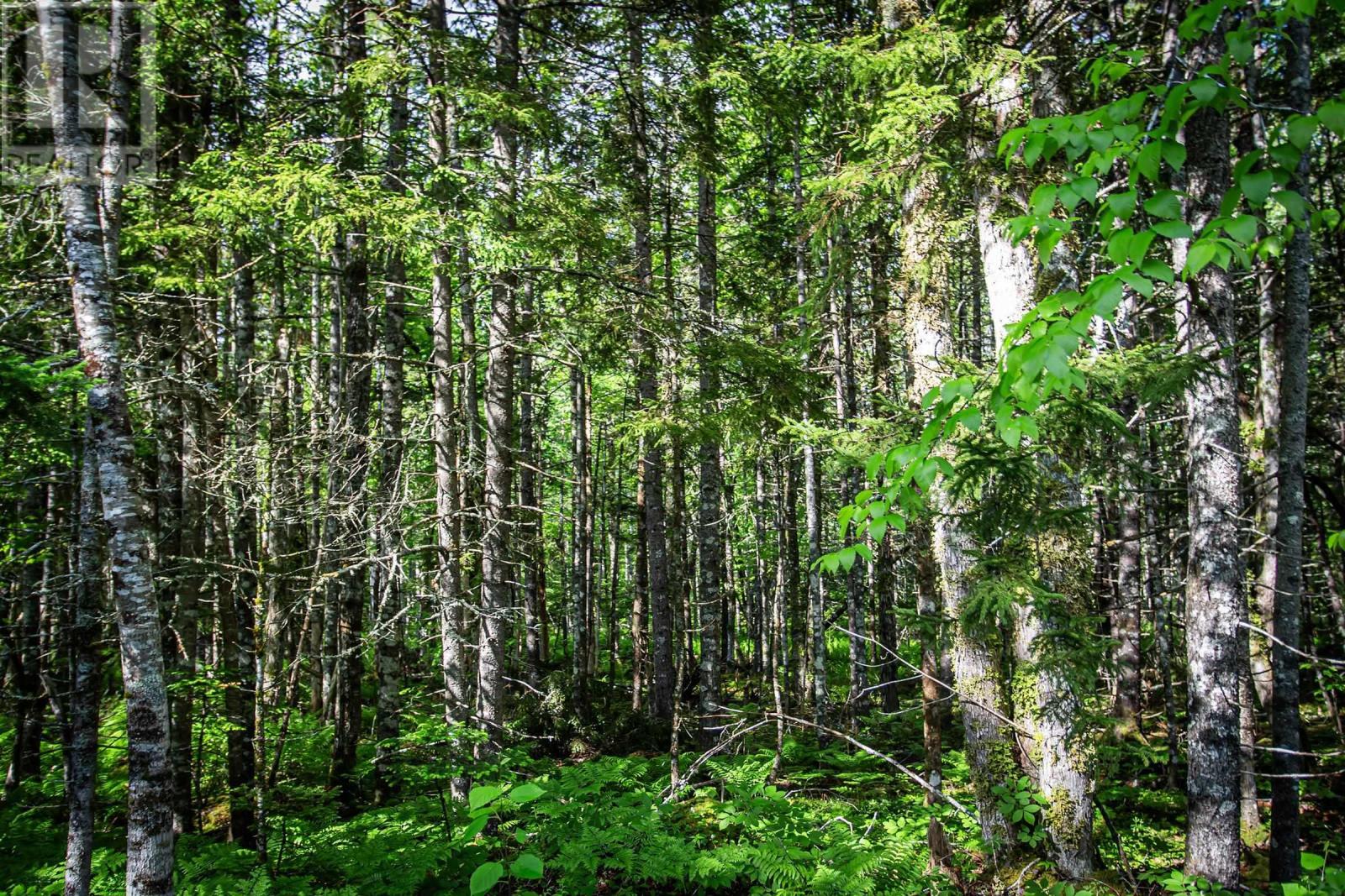 Property 9 of 19 of 7 Lot Package East Lake Road