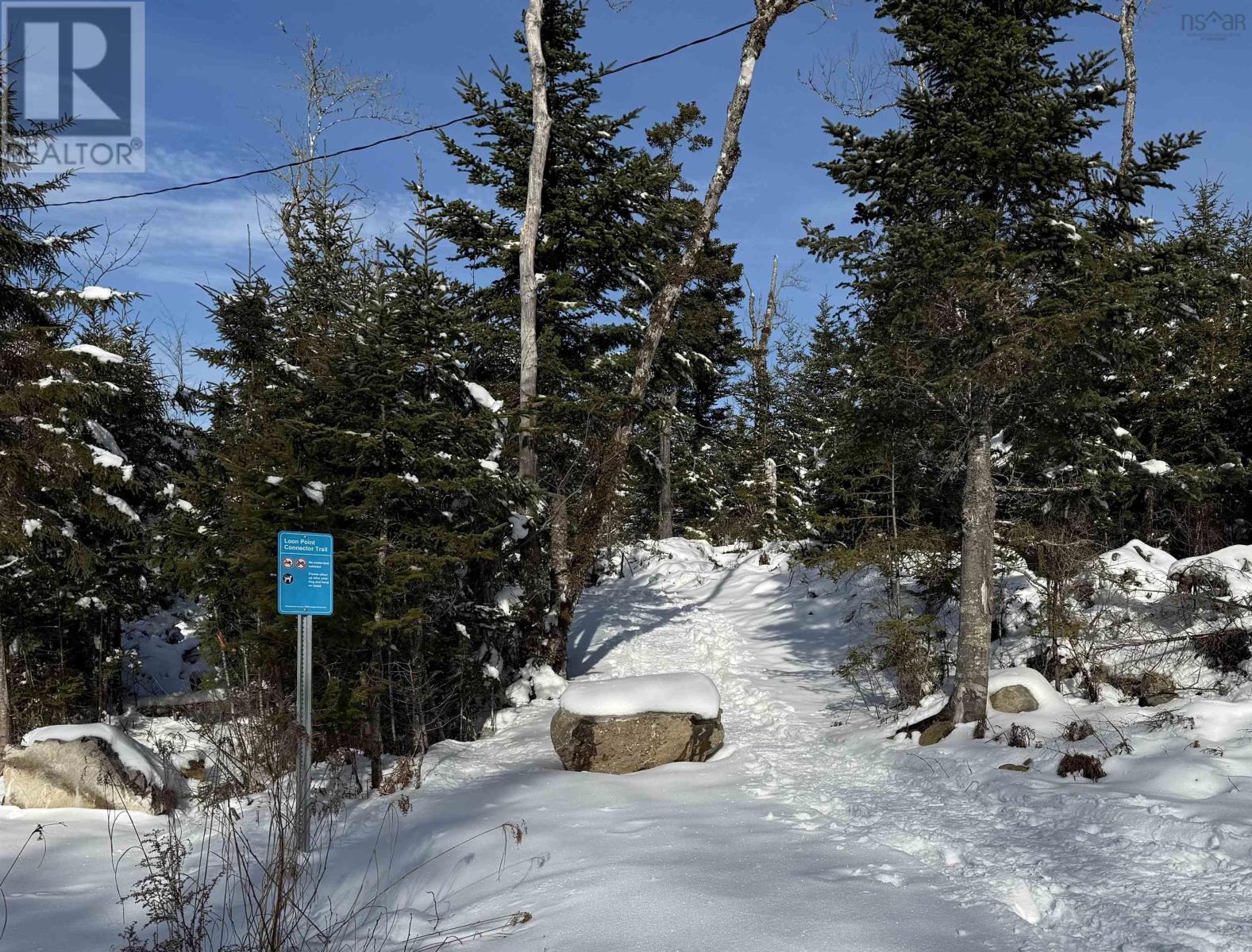 #176 Loon Point Trail - 11