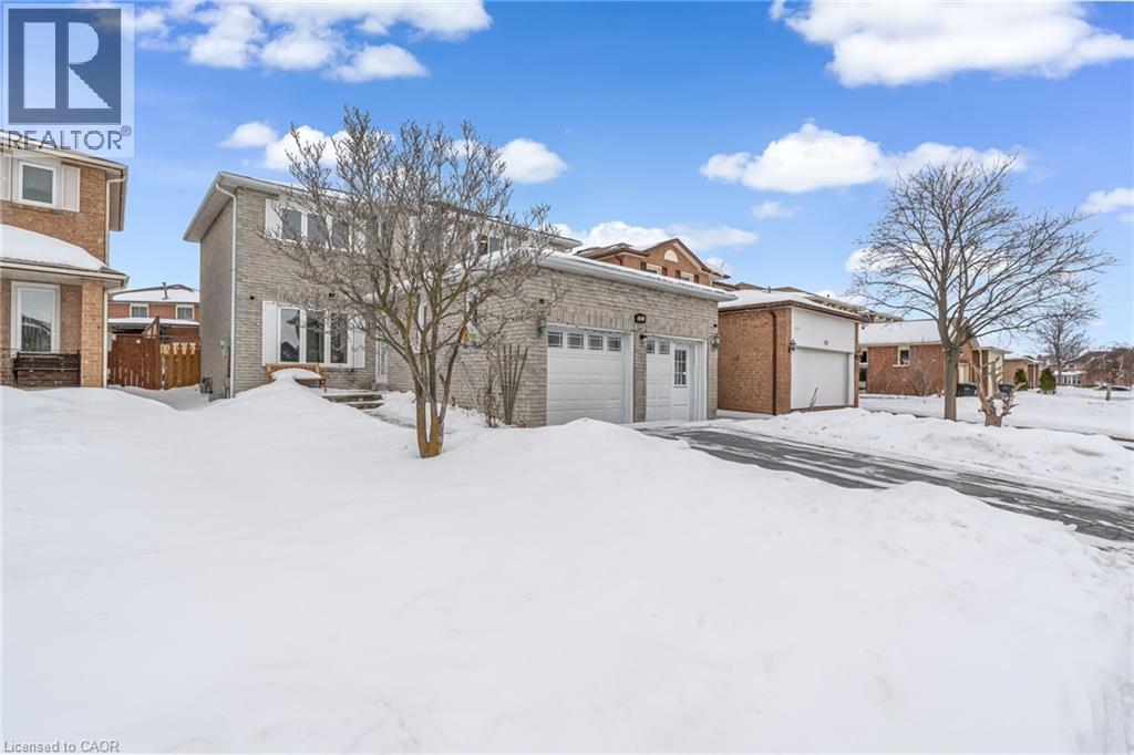 161 HAVELOCK DRIVE - 1