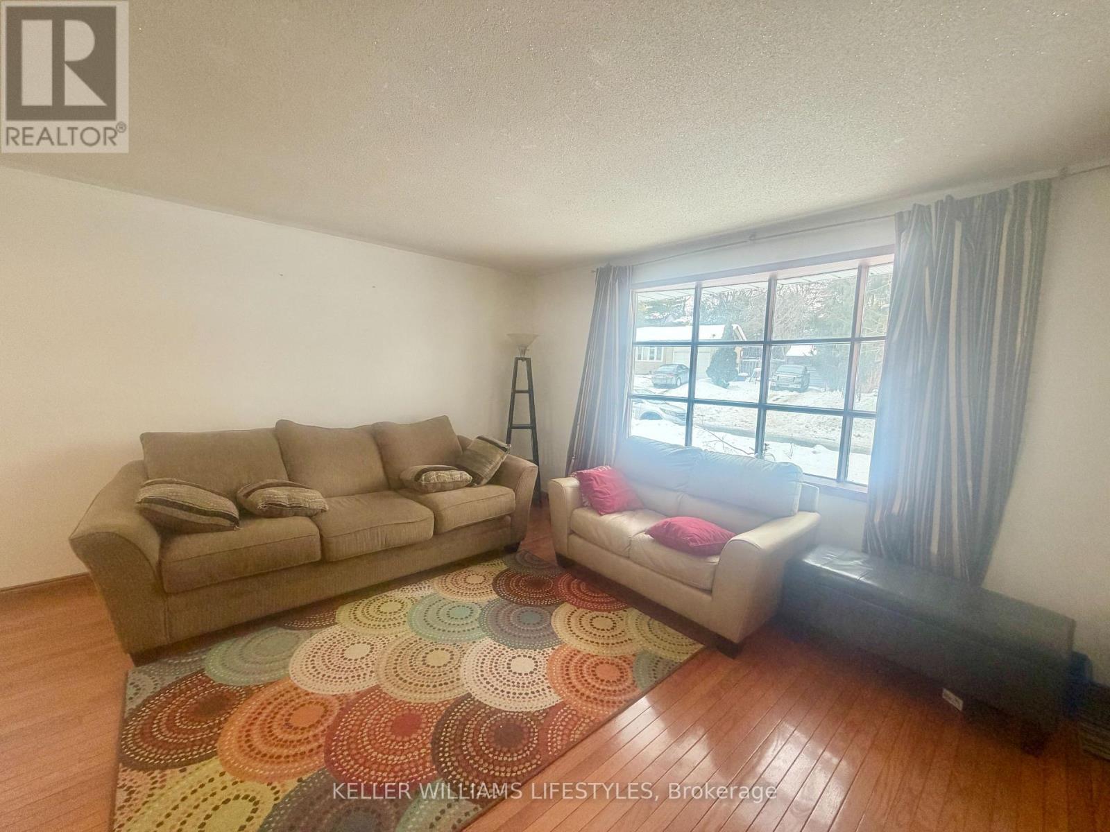 156 Paperbirch photo 4