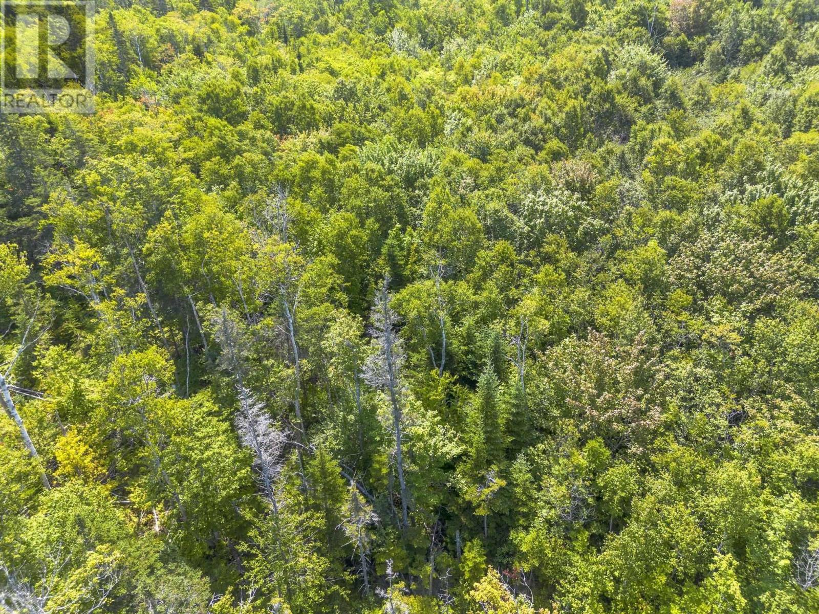 Property 10 of 16 of Lot 19 Pelton Mountain Road