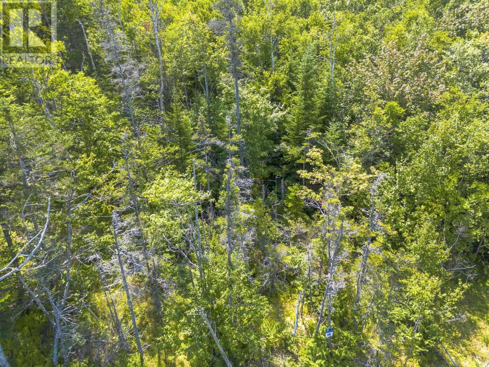 Property 3 of 16 of Lot 19 Pelton Mountain Road