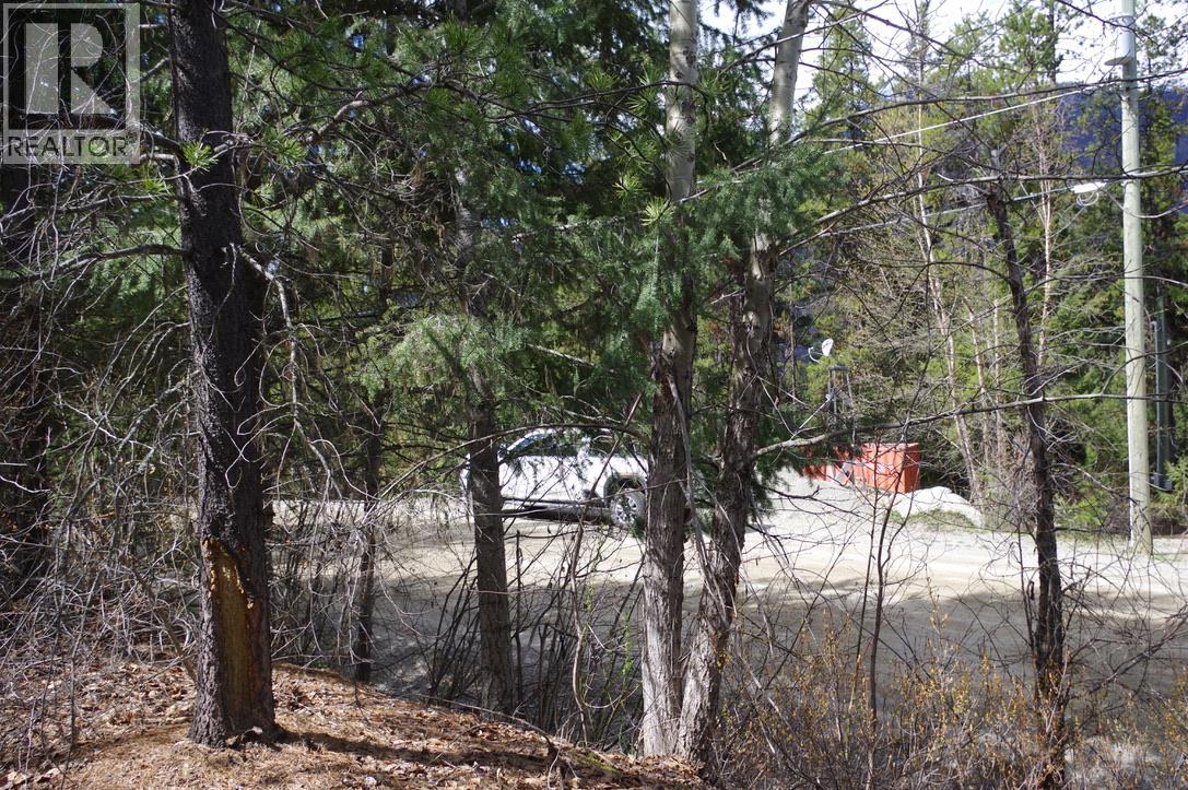 55 LAKEVIEW LOT A DL 5637 LAKEVIEW RD ROAD S - 4