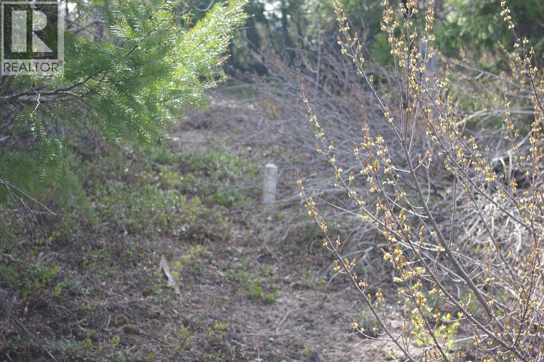 55 LAKEVIEW LOT A DL 5637 LAKEVIEW RD ROAD S - 6