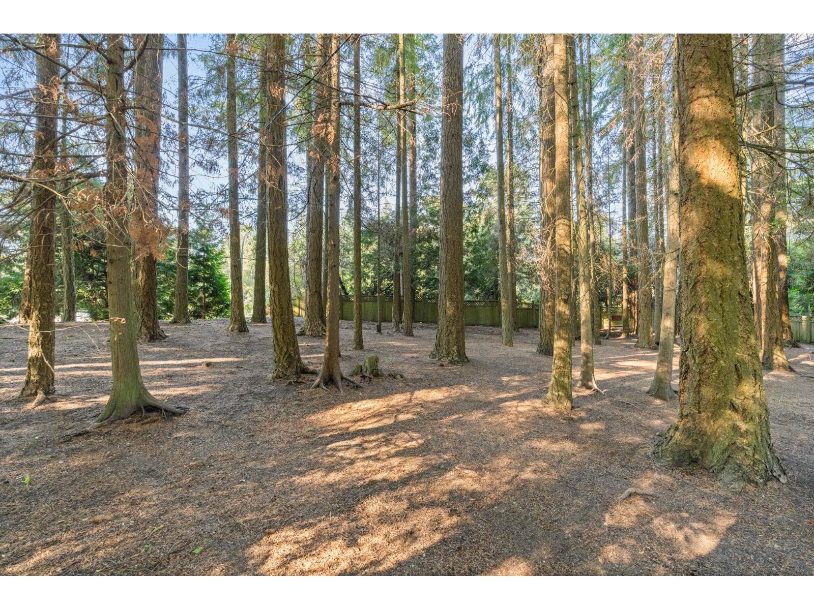 13514 20 AVENUE, Surrey