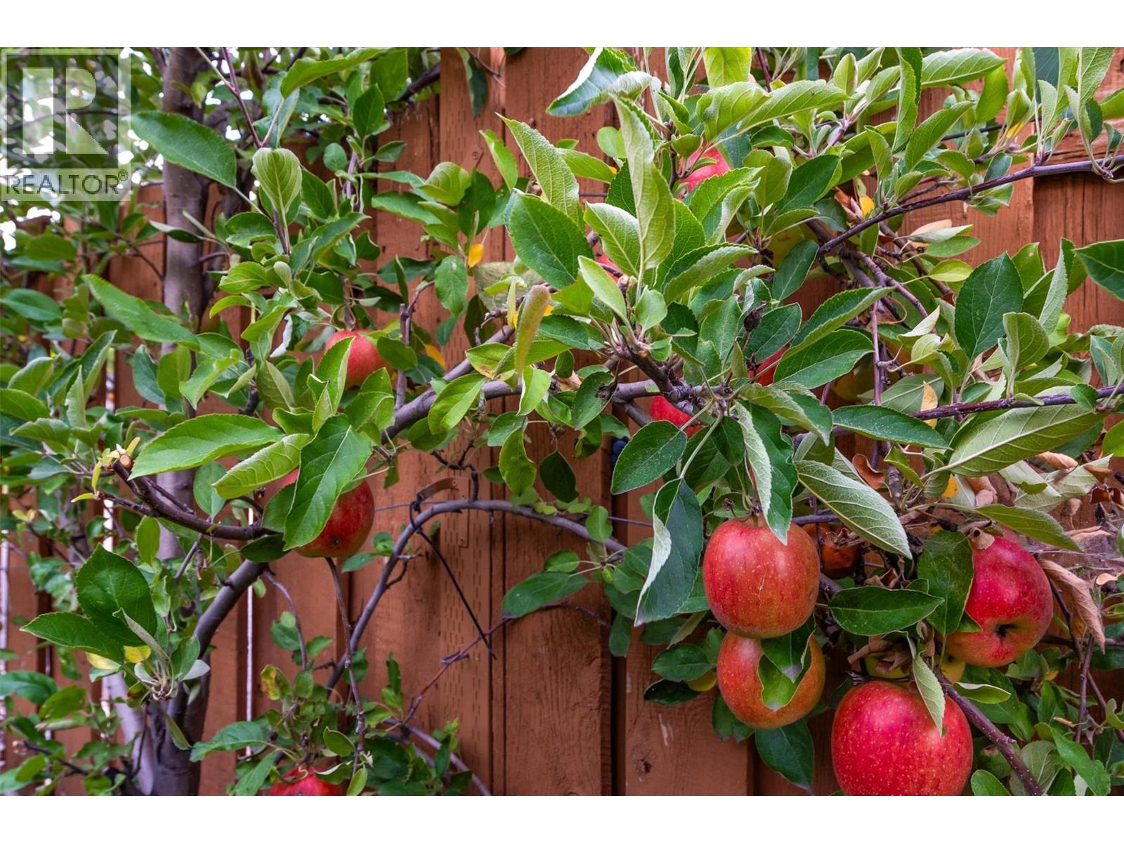 5174 Morrison Crescent, Peachland