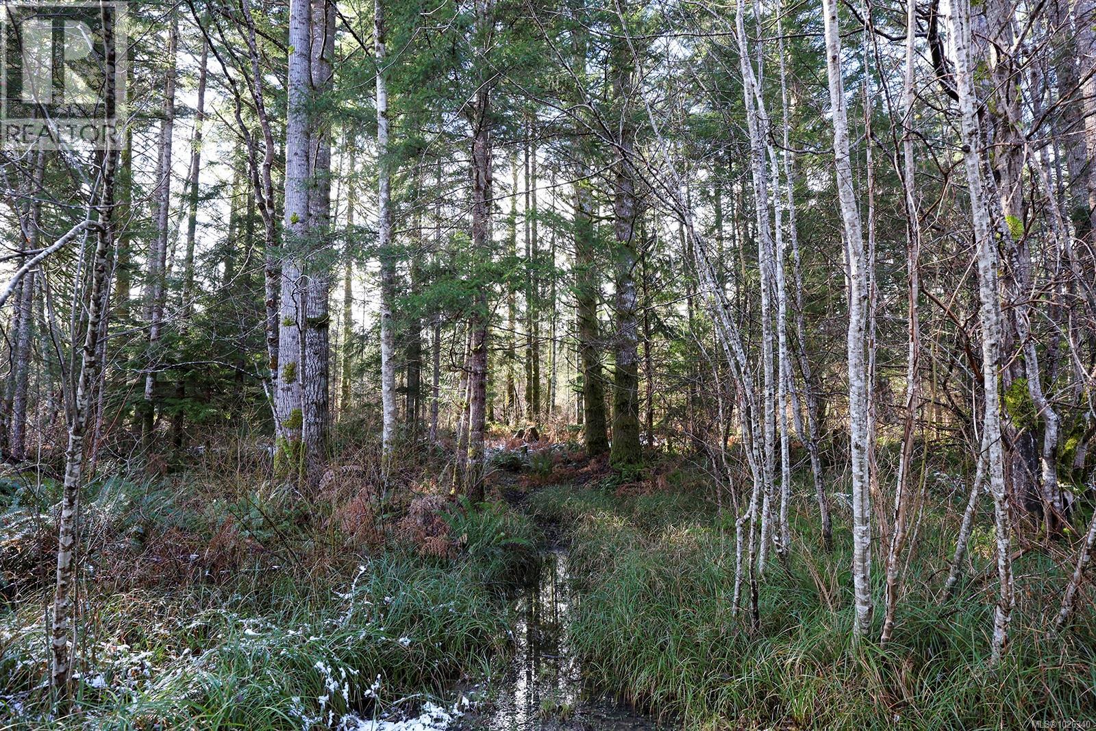 4026 MacAulay Rd - 21