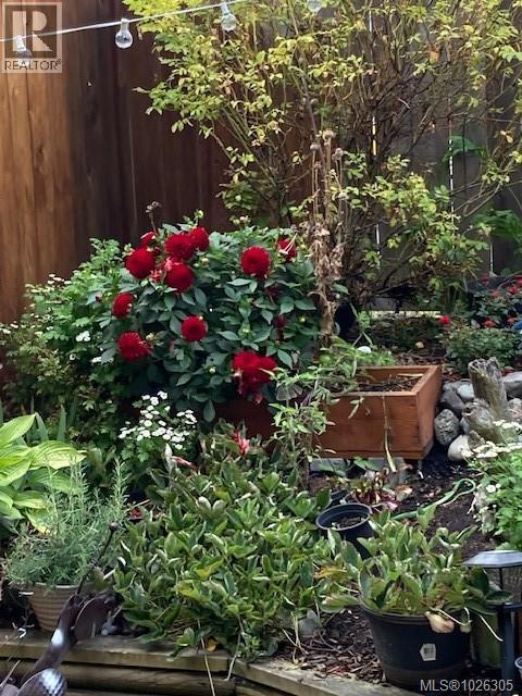 11 333 Robert Street, Victoria