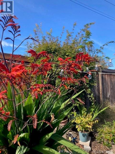 11 333 Robert Street, Victoria