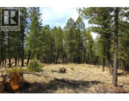 2476 Castlestone Drive, Invermere, BC V0A1K6 Photo 10