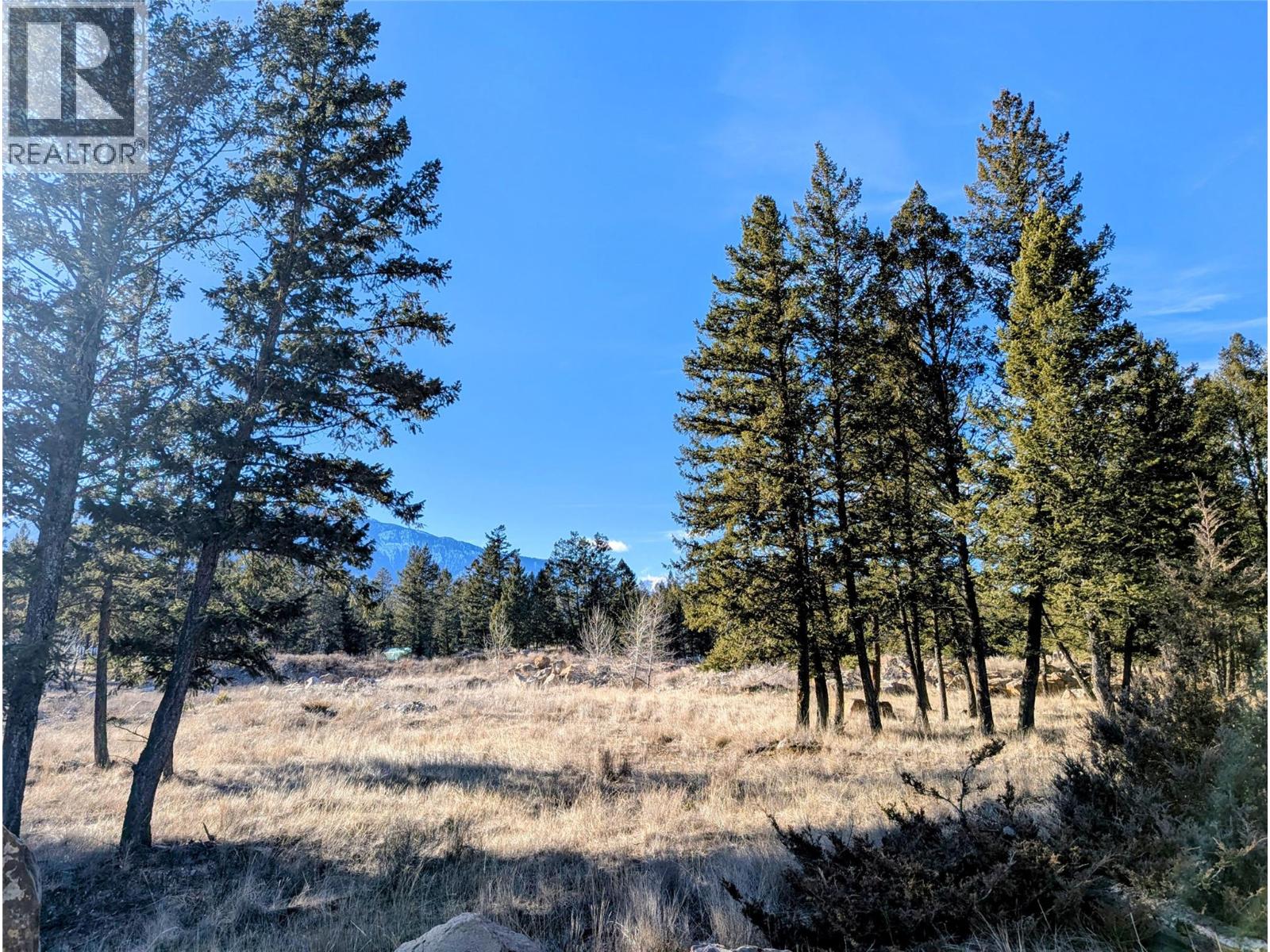 2476 CASTLESTONE Drive - photo 2