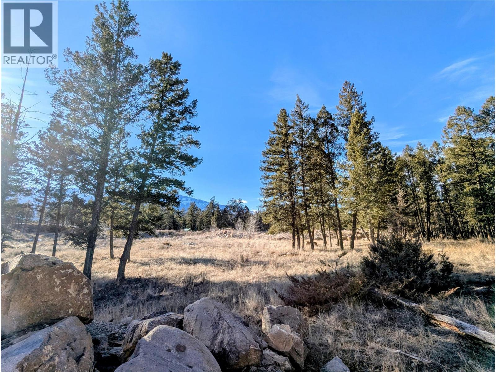 2476 CASTLESTONE DRIVE - 6