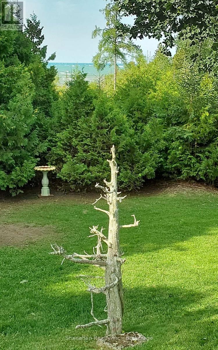 Backyard View