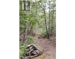 579 Cape Hurd Road, Northern Bruce Peninsula, ON N0H2R0 Photo 38