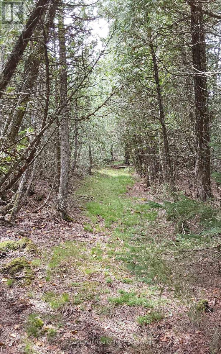 One of many Woodland Trails