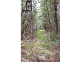 579 Cape Hurd Road, Northern Bruce Peninsula, ON N0H2R0 Photo 35