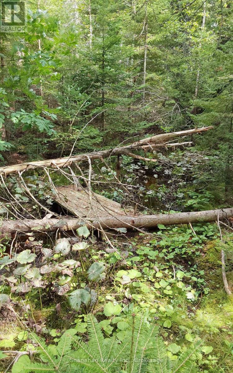 Footbridge over Stream