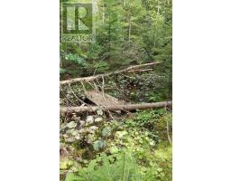 579 Cape Hurd Road, Northern Bruce Peninsula, ON N0H2R0 Photo 34