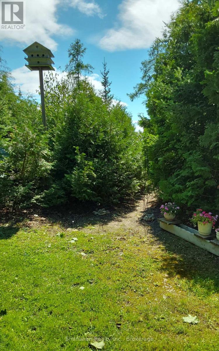 Path from Backyard to Water