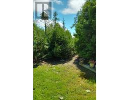 579 Cape Hurd Road, Northern Bruce Peninsula, ON N0H2R0 Photo 37