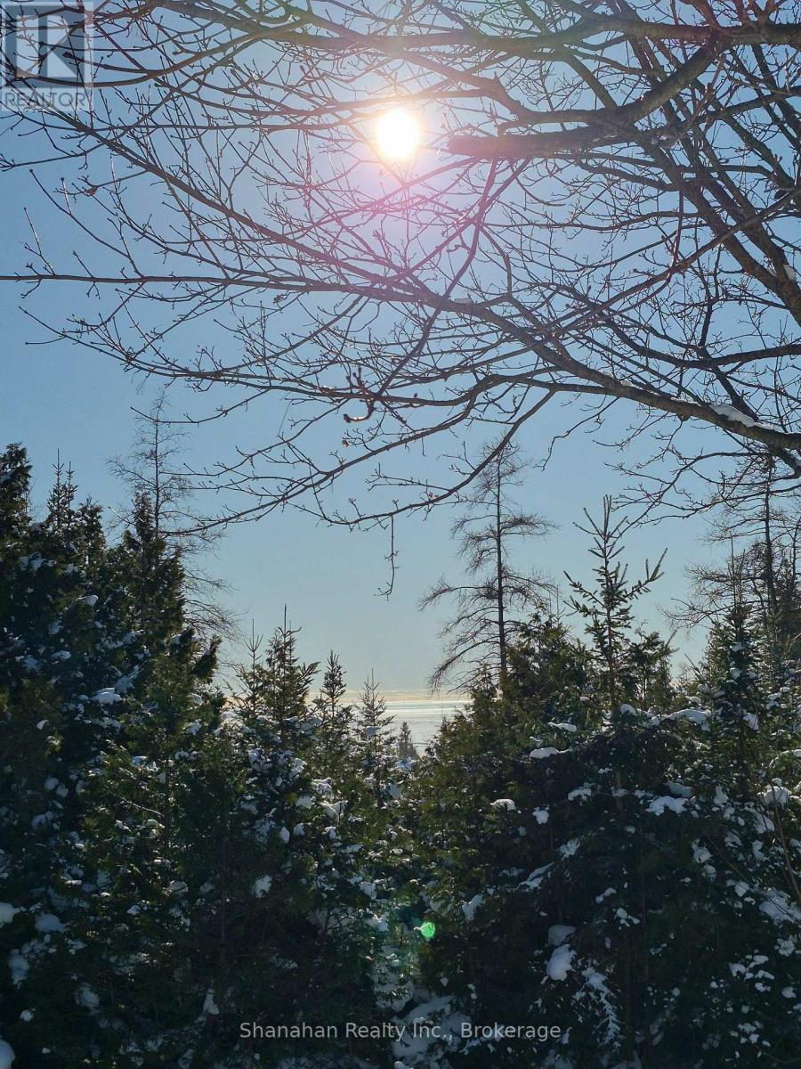 Crisp Winter Days