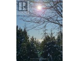 579 Cape Hurd Road, Northern Bruce Peninsula, ON N0H2R0 Photo 41