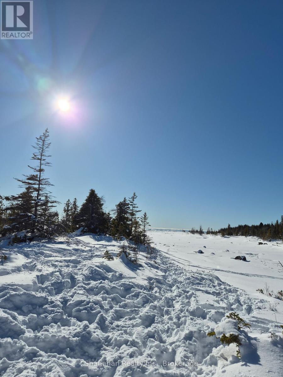 Winter Waterfront