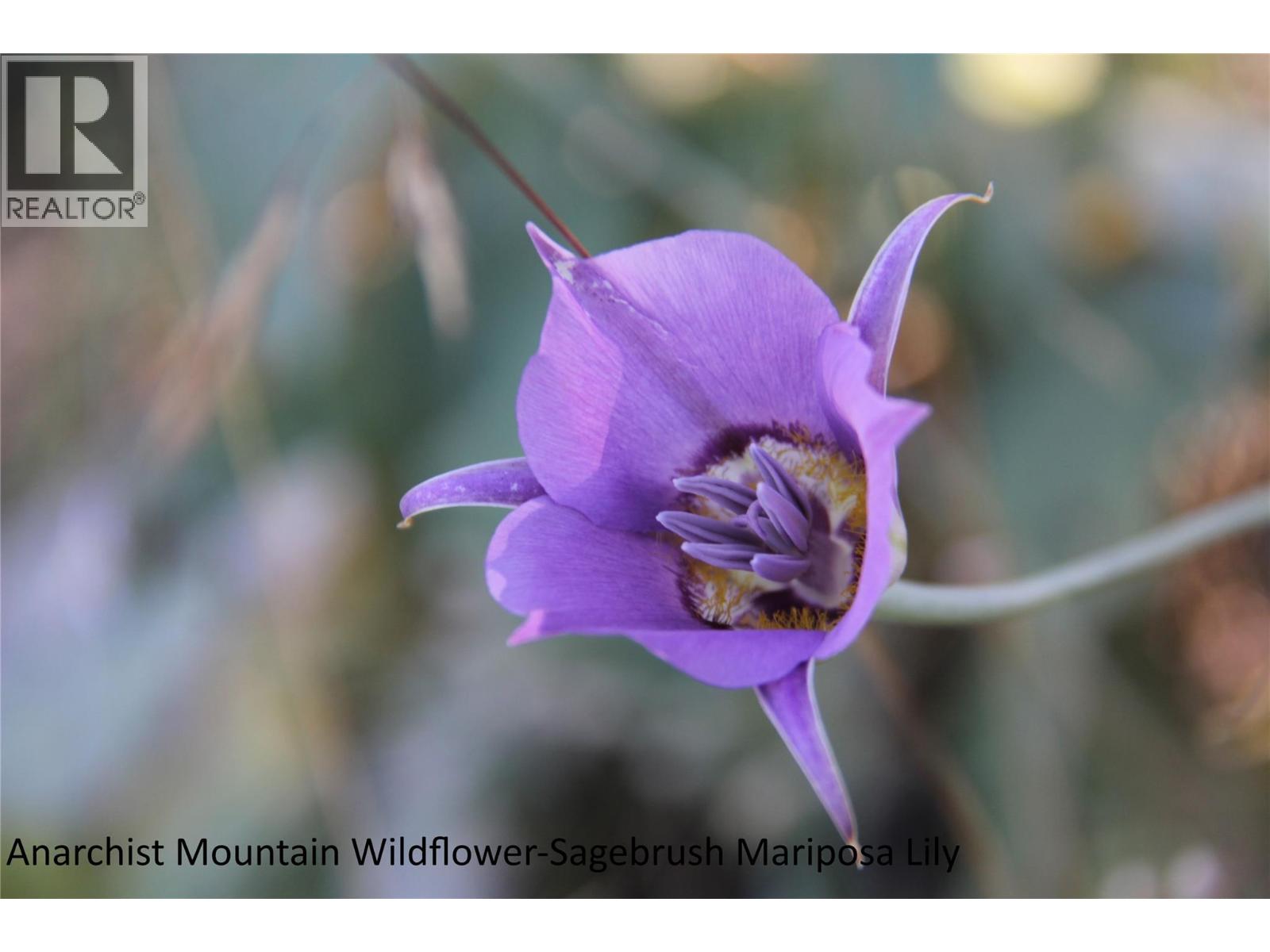 220 SASQUATCH Trail, Osoyoos