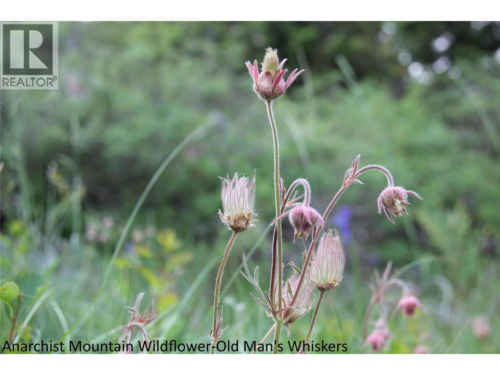 220 SASQUATCH Trail, Osoyoos