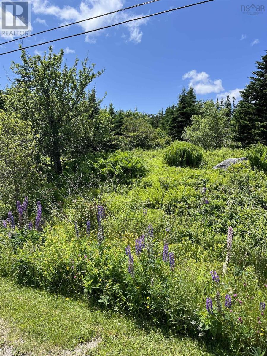 Property 4 of 8 of 2584 West Ship Harbour Road